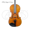  Đàn Violin Edgar Russ Mauro Macchi 