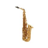  Kèn Saxophone Alto Selmer SA80 II Gold Lacquered 