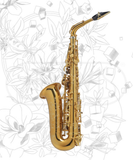  Kèn Saxophone Alto Henri SELMER Paris Supreme Mạ Vàng (Gold plated) 