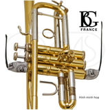  Khăn luồng lau ống piston kèn Trumpet, Cornet, Flughelhorrn Microfiber BG A31T2 - Valve block Swab 