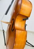  Đàn Doublebass Knooren (Bao gồm Cover, Bow, Rosin, Dây đàn Pirastro, Hộp cứng gỗ) 