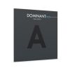  Dây đàn Violin Dominant Pro a String 4/4 medium Thomastik Infeld DP02 