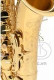  Kèn Saxophone Alto Henri SELMER Paris Axos 