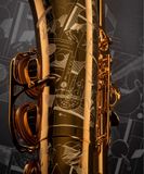  Kèn Saxophone Alto Henri SELMER Paris Signature Lacquered 