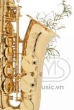  Kèn Saxophone Alto Henri SELMER Paris Axos 