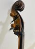  Đàn Doublebass Knooren (Bao gồm Cover, Bow, Rosin, Dây đàn Pirastro, Hộp cứng gỗ) 