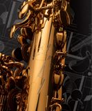  Kèn Saxophone Alto Henri SELMER Paris Signature Lacquered 
