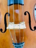 Đàn Doublebass Knooren (Bao gồm Cover, Bow, Rosin, Dây đàn Pirastro, Hộp cứng gỗ) 