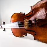  Dây đàn Violin Dominant Pro e String 4/4 medium Thomastik Infeld DP01 