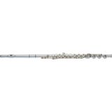  Sáo Flute Powell Custom, 14K Aurumite ST RBE 