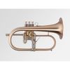  Kèn Flugelhorn Adams F2 