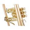  Kèn Flugelhorn Yamaha YFH-8310 ZG 