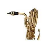  Kèn Saxophone Baritone Yanagisawa B-WO10 