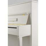  Đàn Piano Upright Petrof P 122 N2 