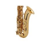 Kèn Saxophone Tenor Henris SELMER Paris Reference 54 