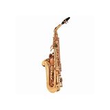  Kèn Saxophone Alto Buffet Crampon BC8401-1-0 