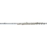  Sáo Flute Powell Signature DT RBE 
