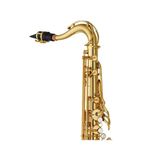  Kèn Saxophone Tenor Yamaha YTS-480 