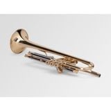  Kèn Trumpet Bb Adams Prologue Laquered 