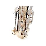  Kèn Saxophone Tenor Yamaha YTS-480S 