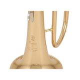  Kèn Flugelhorn Yamaha YFH-8310 ZG 