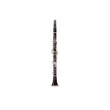 Kèn Clarinet Bb Buffet Crampon BC1107L-2-0 RC Prestige 18/6 