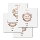  Bộ Dây đàn Violin Jargar Evoke Blue JEV100 