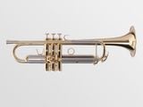  Kèn Trumpet Adams -Le Rich Laquered 