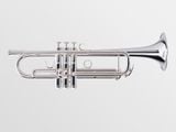  Kèn Trumpet Adams Le Rich Silver Plated 