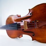  Dây đàn Violin Peter Infeld e String 4/4 medium Thomastik Infeld PI01SN 