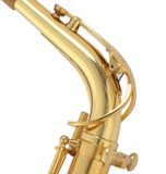  Kèn Saxophone Alto EB Buffet Crampon Series 100 YB BC8101-1-0 