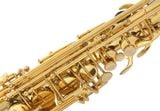  Kèn Saxophone Alto EB Buffet Crampon Series 100 YB BC8101-1-0 
