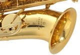  Kèn Saxophone Alto EB Buffet Crampon Series 100 YB BC8101-1-0 