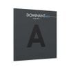  Dây đàn Viola Dominant Pro a String 4/4 medium Thomastik Infeld DP21 