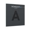  Dây đàn Viola Dominant Pro a String 4/4 medium Thomastik Infeld DP21 