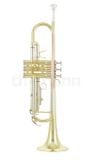  Kèn Trumpet Bb Thomann TR200S Laquered 
