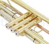  Kèn Trumpet Bb Thomann TR200S Laquered 