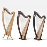  Đàn Harp Lever Lyon & Healy Ogden Ebony 