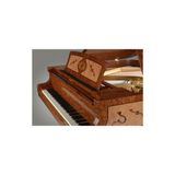  Đàn Piano Grand Petrof Special Collection Madrona 