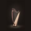  Đàn Harp Lever Lyon & Healy Ogden Ebony 