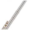  Sáo Powell Flutes Sonaré 101 CEA 