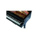  Đàn Piano Grand Petrof Standard Series Grand P194 Storm 