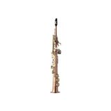  Kèn Saxophone Soprano Yanagisawa S-WO20 