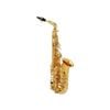  Kèn Saxophone Alto Buffet Crampon BC8201-1-0GB 