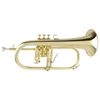  Kèn Flugelhorn Yamaha YFH-8310 Z 