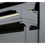  Đàn Piano Upright Petrof P 125 K1 