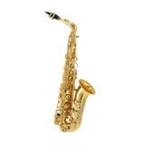  Kèn Saxophone Alto EB Buffet Crampon Series 100 YB BC8101-1-0 
