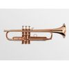  Kèn Trumpet Bb Adams A9 