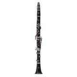  Kèn Clarinet Bb Buffet Crampon Tosca 19/6 