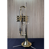  Kèn Trumpet Adams -Le Rich Laquered 